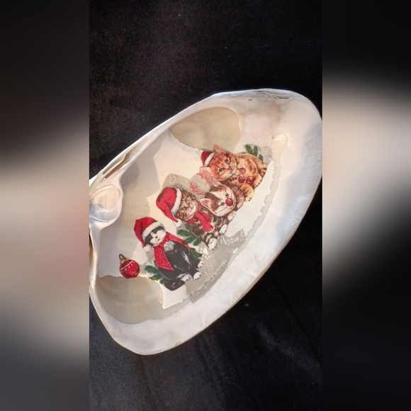 Sea shells - Picture 5 of 5